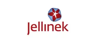 Netherlands logo